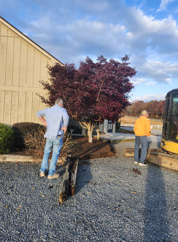 The conractors at the clinic beginning the process to remove the tree.