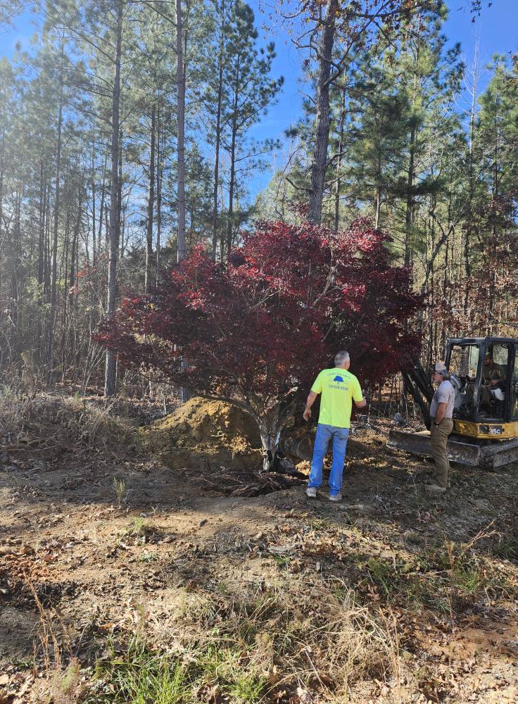 Placing the tree on the Compound.